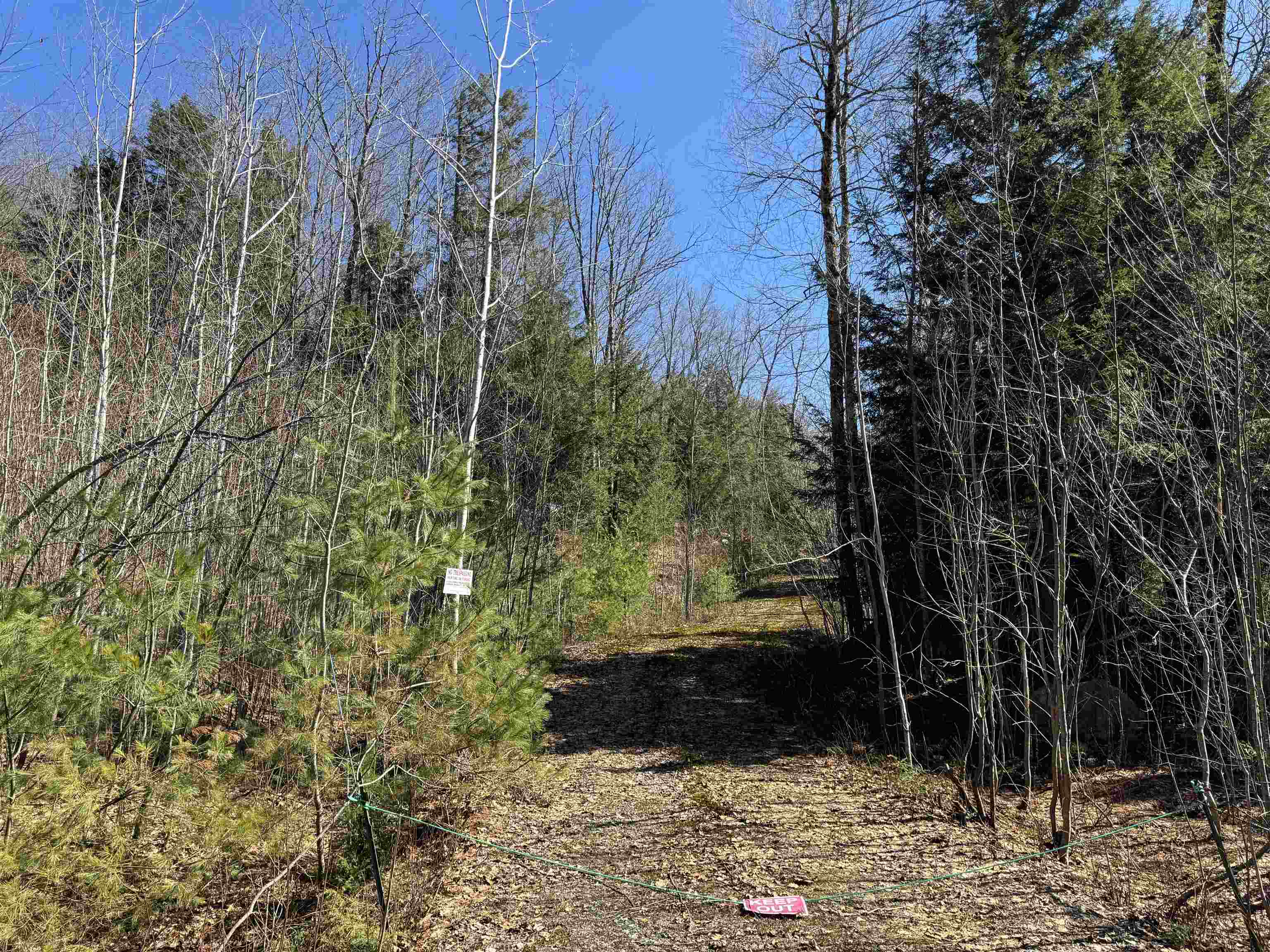 Lot 44 Bog Road Hillsborough, NH 03244 - Photo 2 of 6 Gallery Image 2