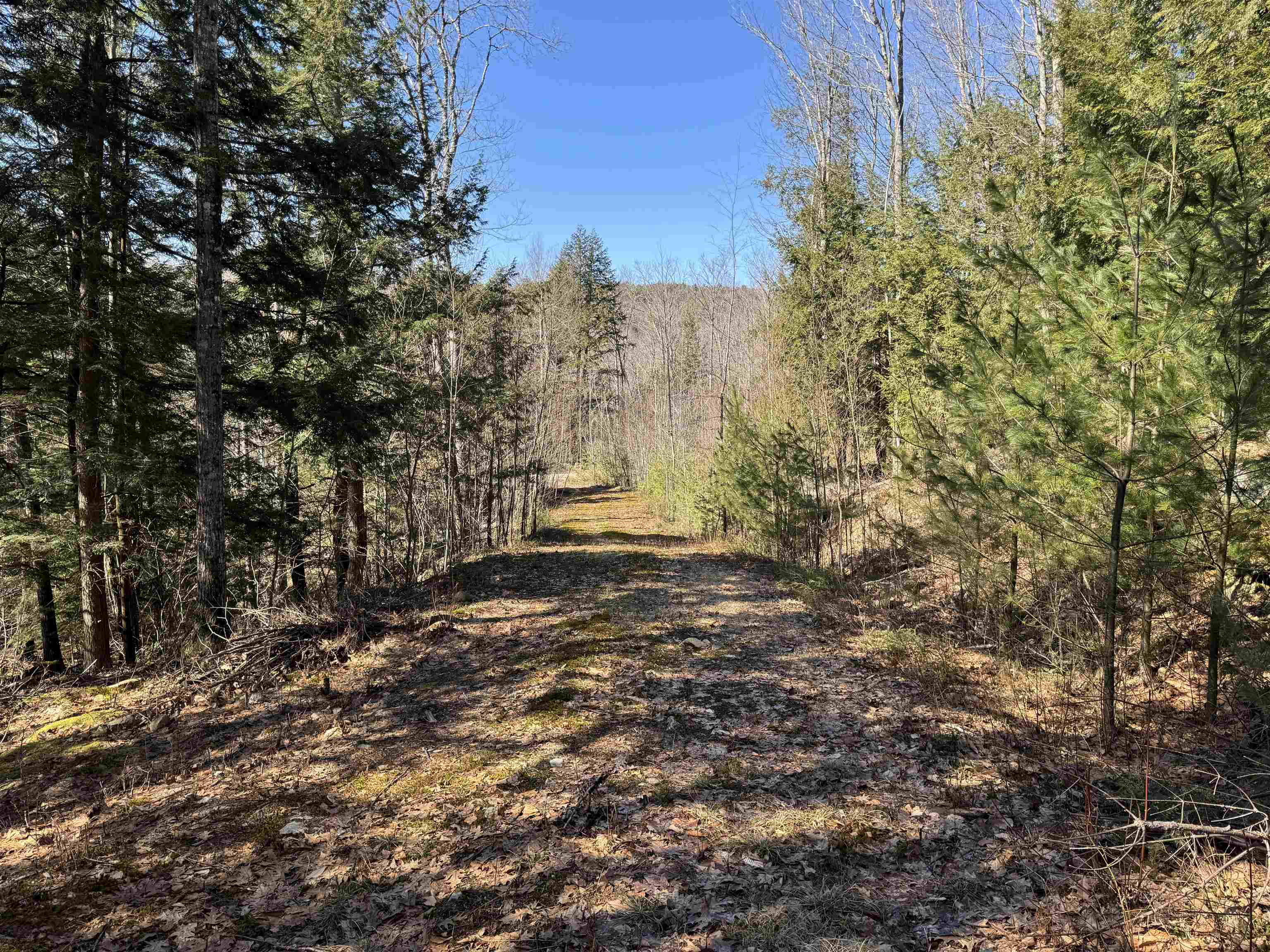Lot 44 Bog Road Hillsborough, NH 03244 - Photo 3 of 6 Gallery Image 3