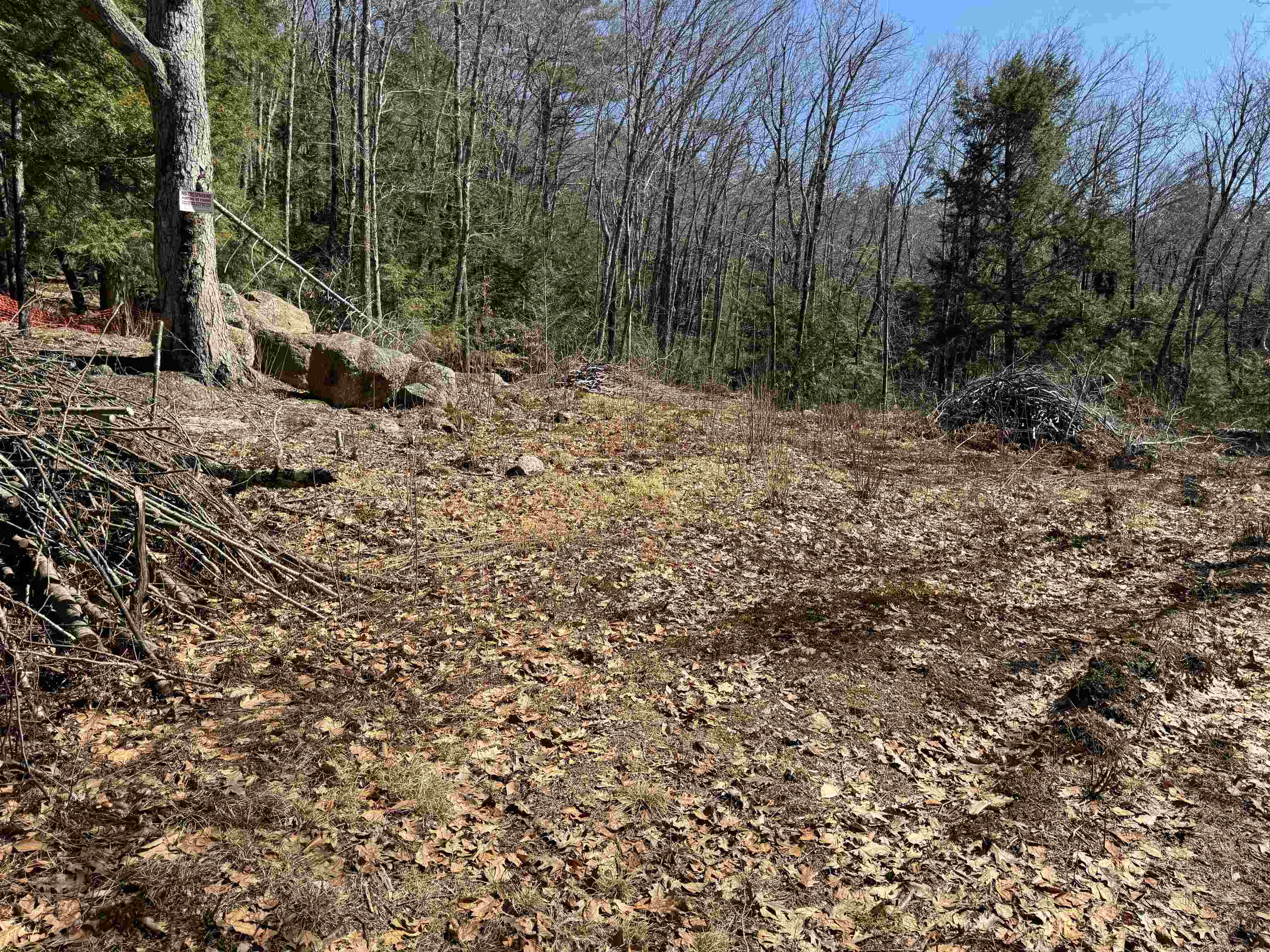 Lot 44 Bog Road Hillsborough, NH 03244 - Photo 4 of 6 Gallery Image 4