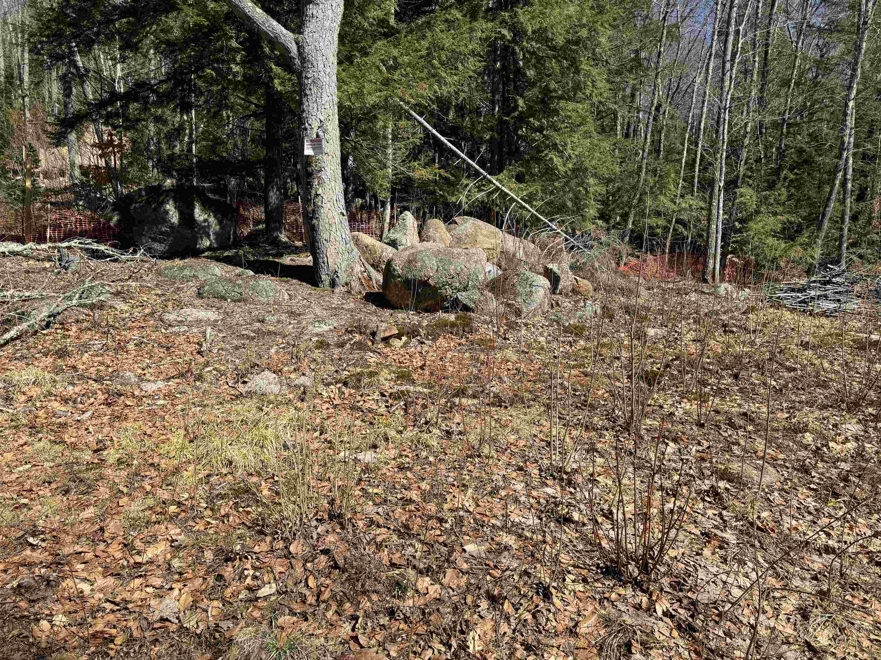 Lot 44 Bog Road Hillsborough, NH 03244 - Photo 5 of 6 Gallery Image 5