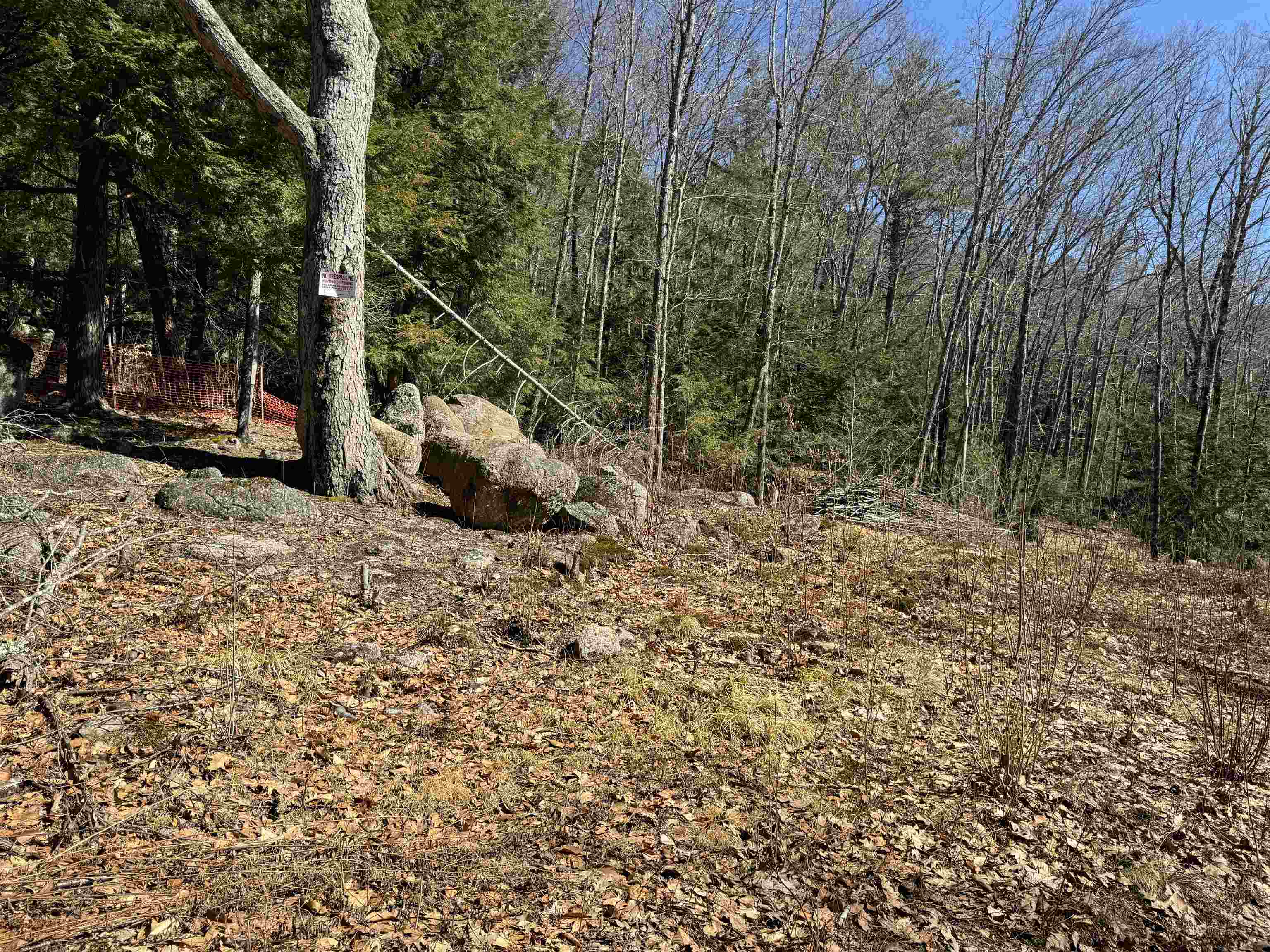 Lot 44 Bog Road Hillsborough, NH 03244 - Photo 6 of 6 Gallery Image 6