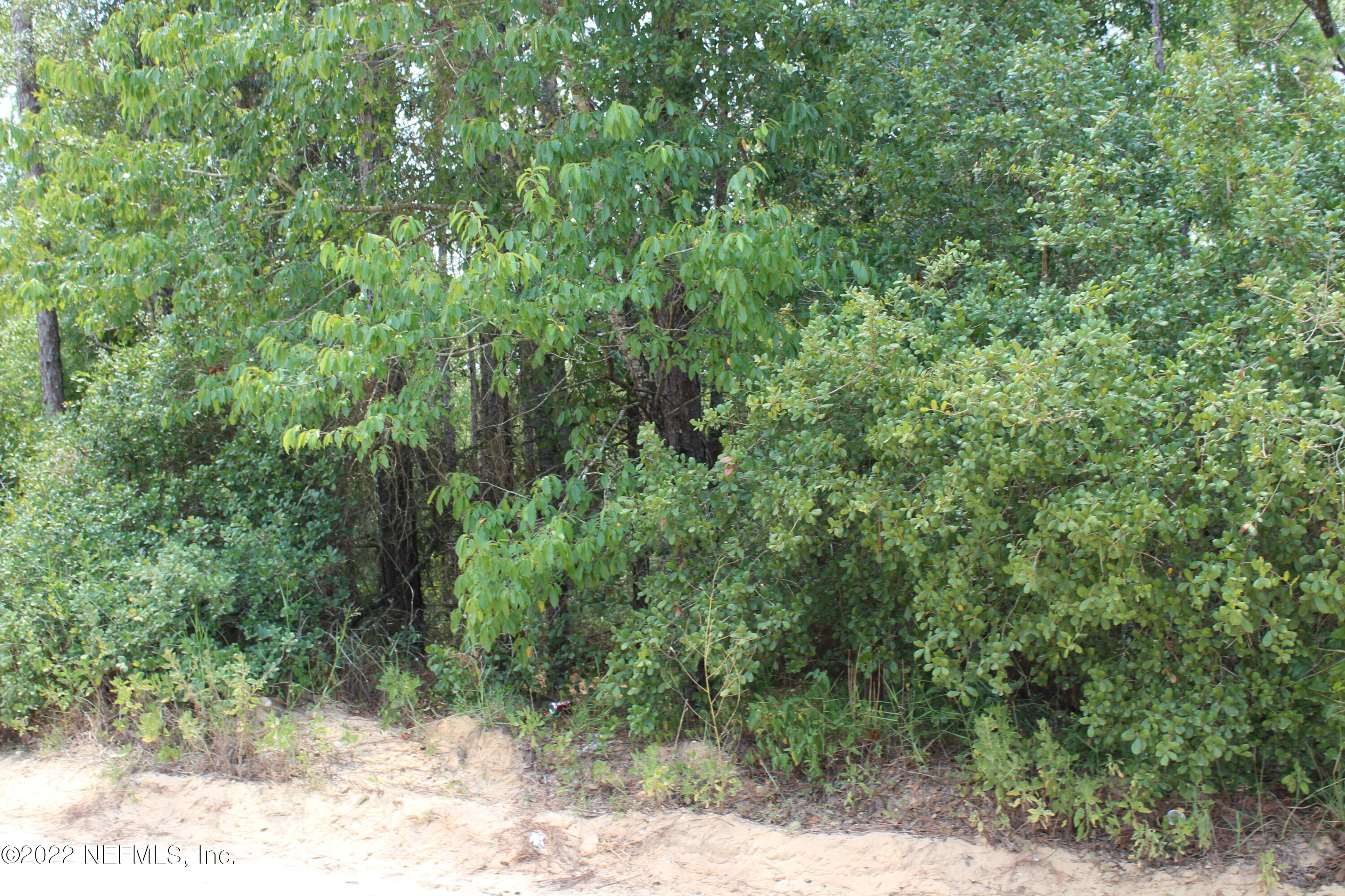 6219 Colgate Road Keystone Heights, FL 32656 - Photo 2 of 4 IMG_6000
