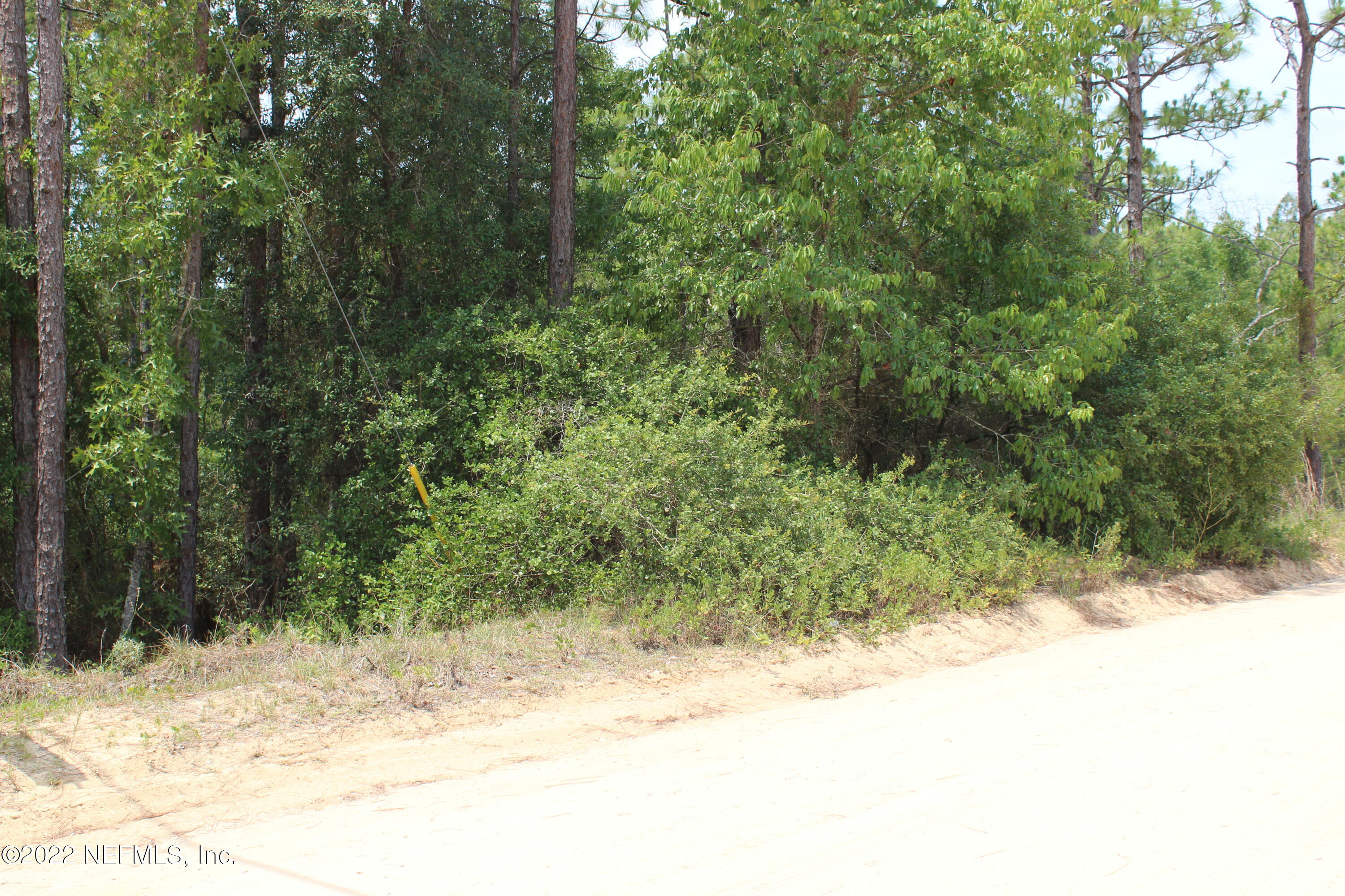 6219 Colgate Road Keystone Heights, FL 32656 - Photo 3 of 4 IMG_6001