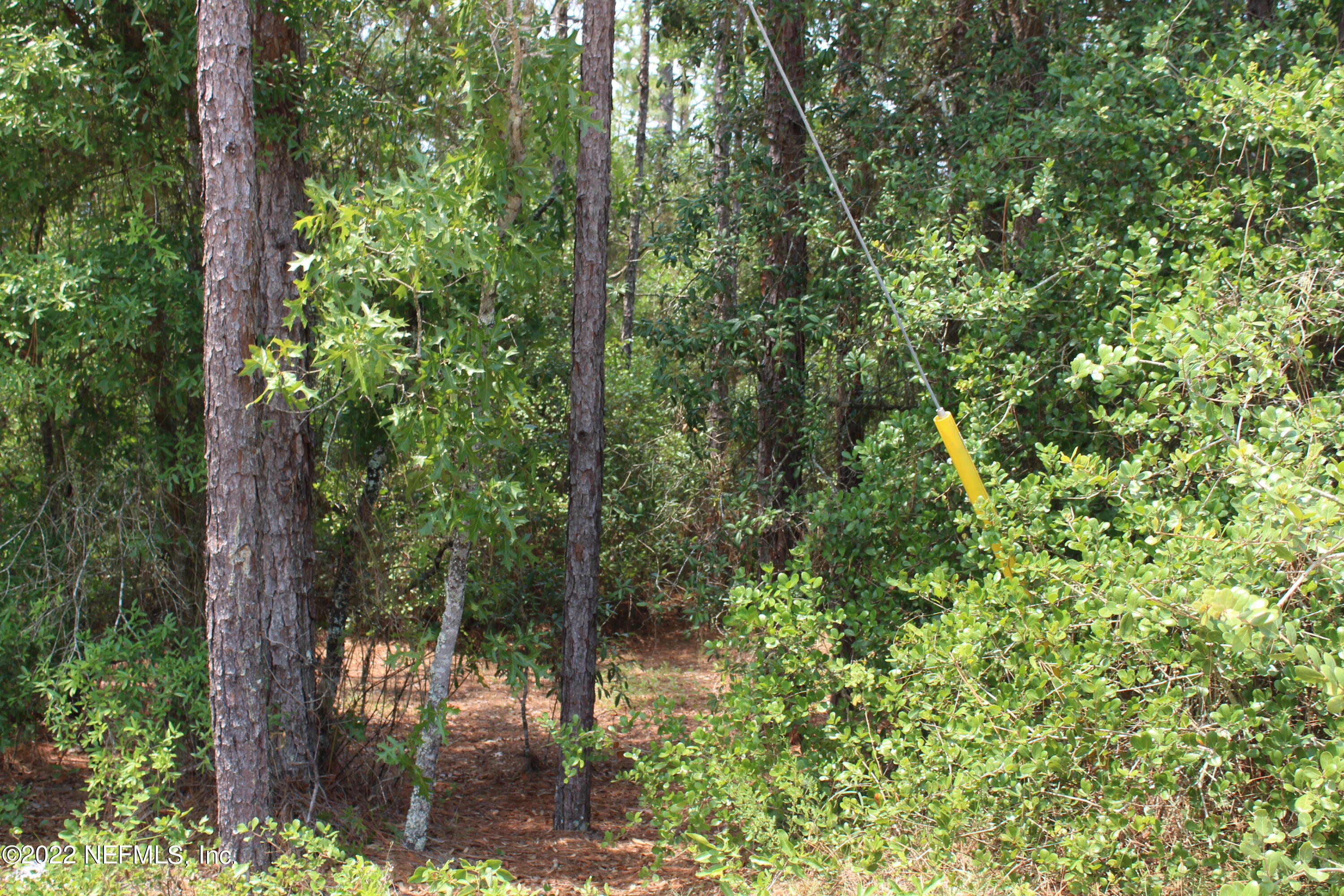 6219 Colgate Road Keystone Heights, FL 32656 - Photo 4 of 4 IMG_6002