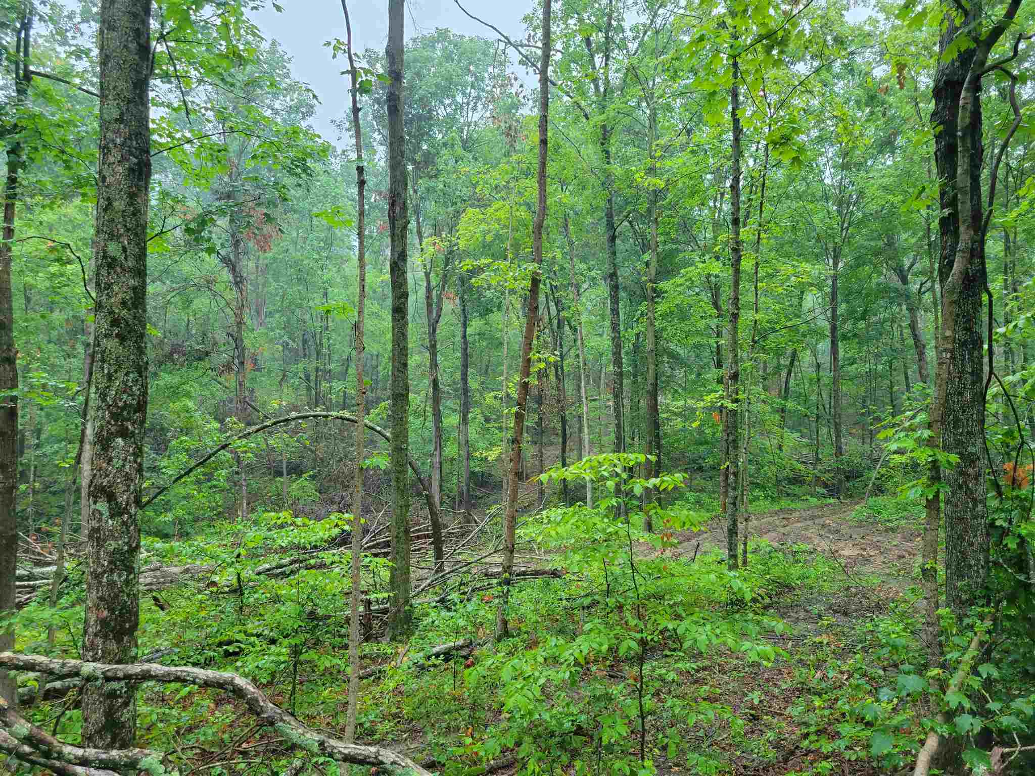50 Mitchell In 47446 Mitchell, IN 47446 - Photo 7 of 11 Gallery Image 7