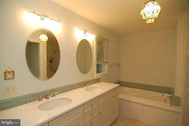 216 Birch Run Road Chestertown, MD 21620 - Photo 9 of 16 Master Bath with Luxurious Features