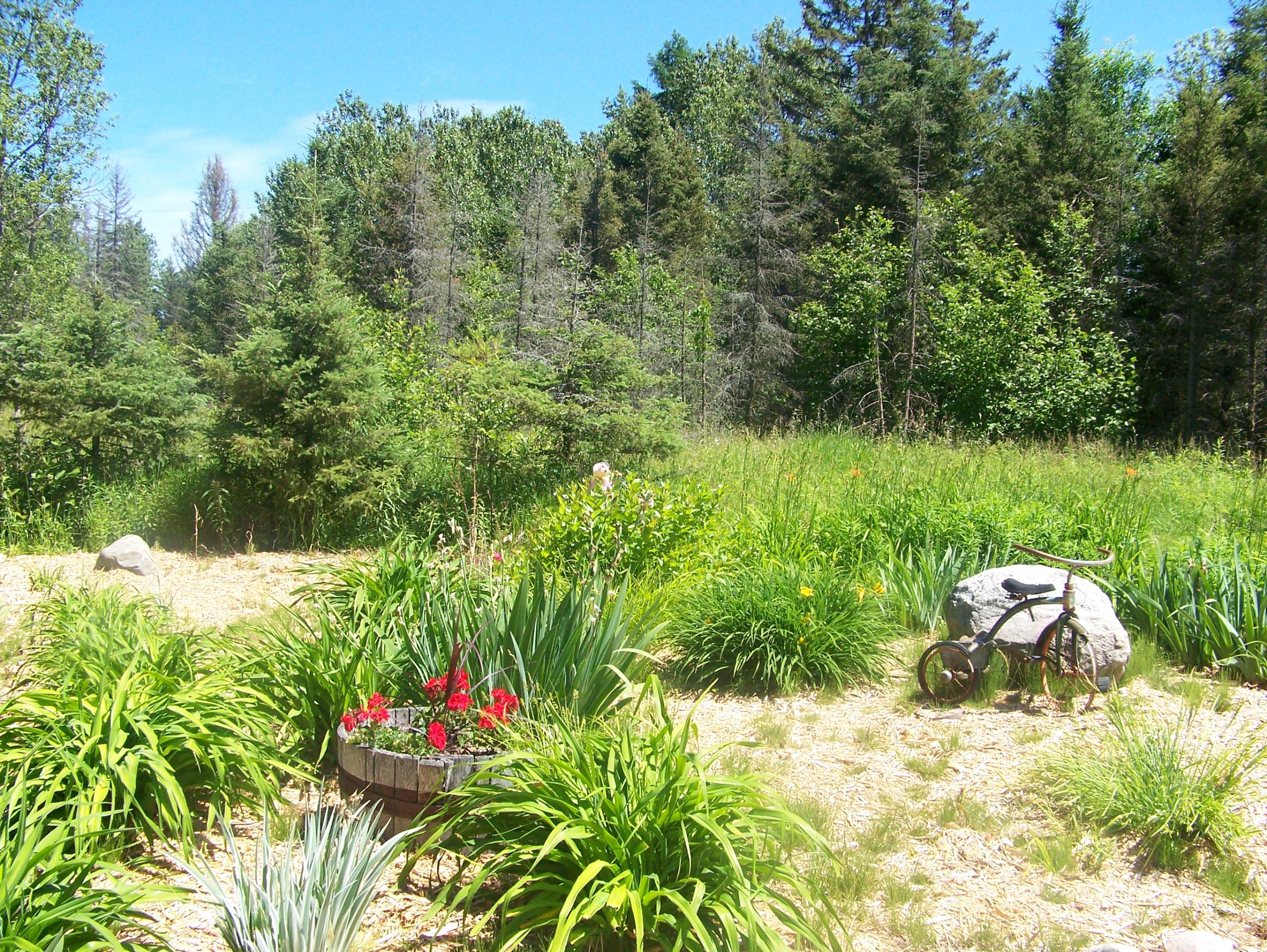 5687 West Frutchey Ranch Road Curran, MI 48728 - Photo 22 of 41 Gallery Image 22
