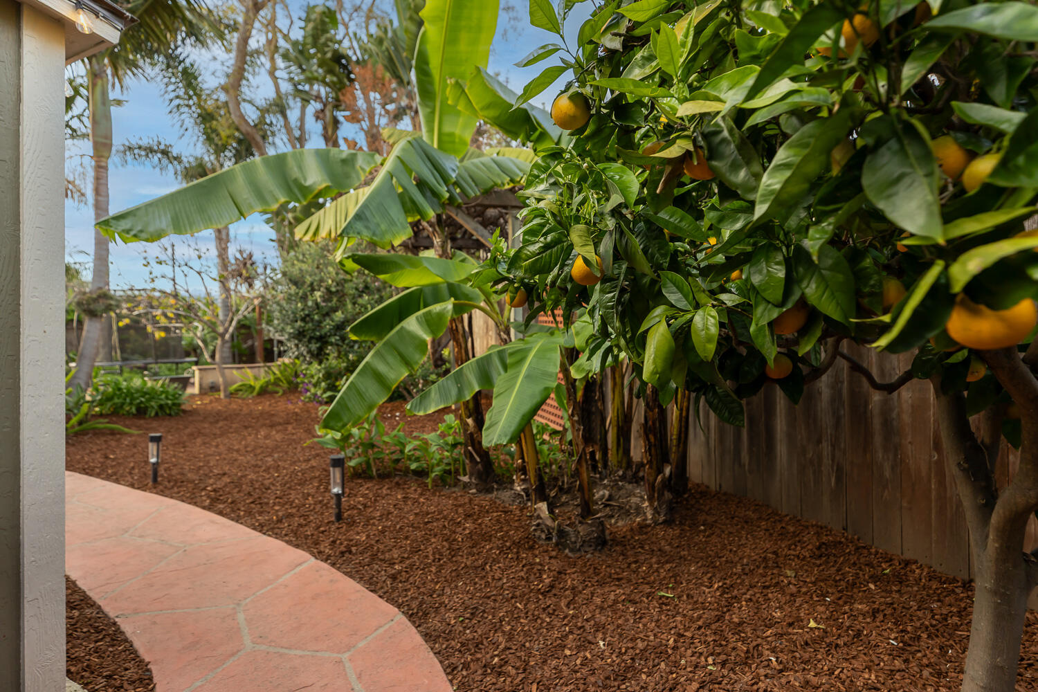 5402 Cameo Road Carpinteria, CA 93013 - Photo 24 of 28 a view of a backyard