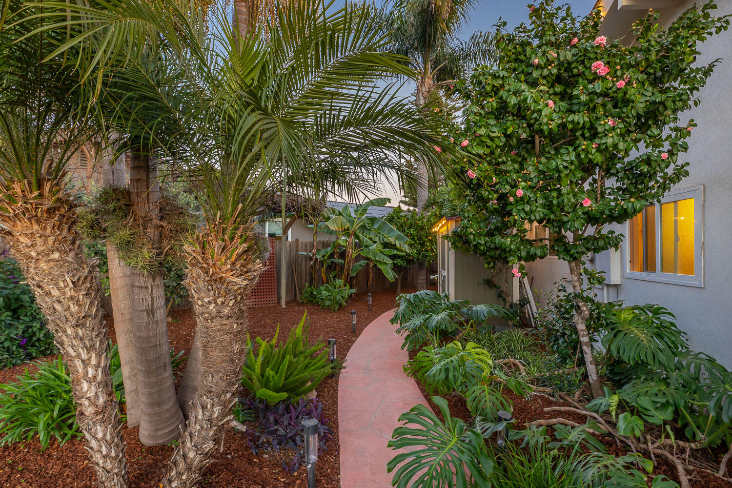 5402 Cameo Road Carpinteria, CA 93013 - Photo 25 of 28 a plant that is in front of a house