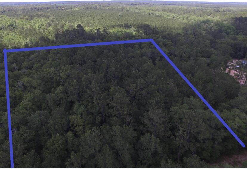 Xx East Padgett Road Ponce de Leon, FL 32455 - Photo 1 of 10 5 Acre-Padgett Rd. 3