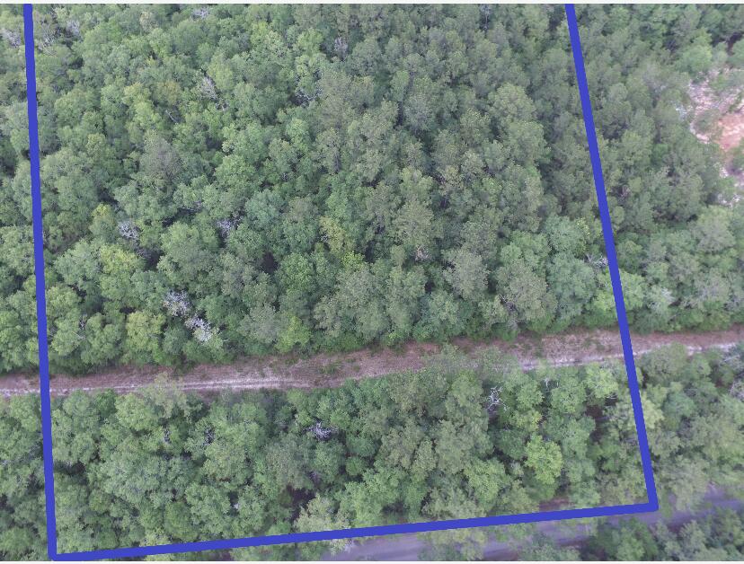 Xx East Padgett Road Ponce de Leon, FL 32455 - Photo 4 of 10 5 Acre-Padgett Rd
