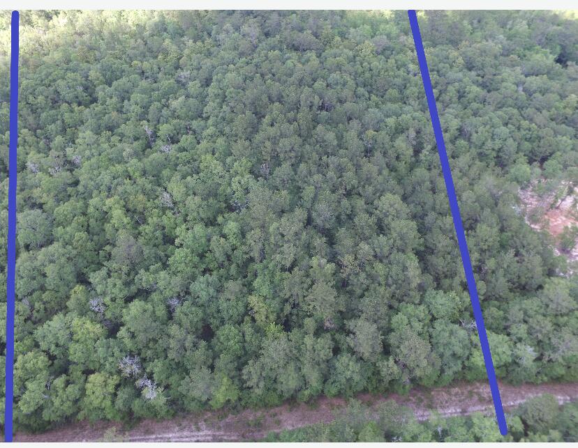 Xx East Padgett Road Ponce de Leon, FL 32455 - Photo 10 of 10 5 Acre-Padgett Rd. 2