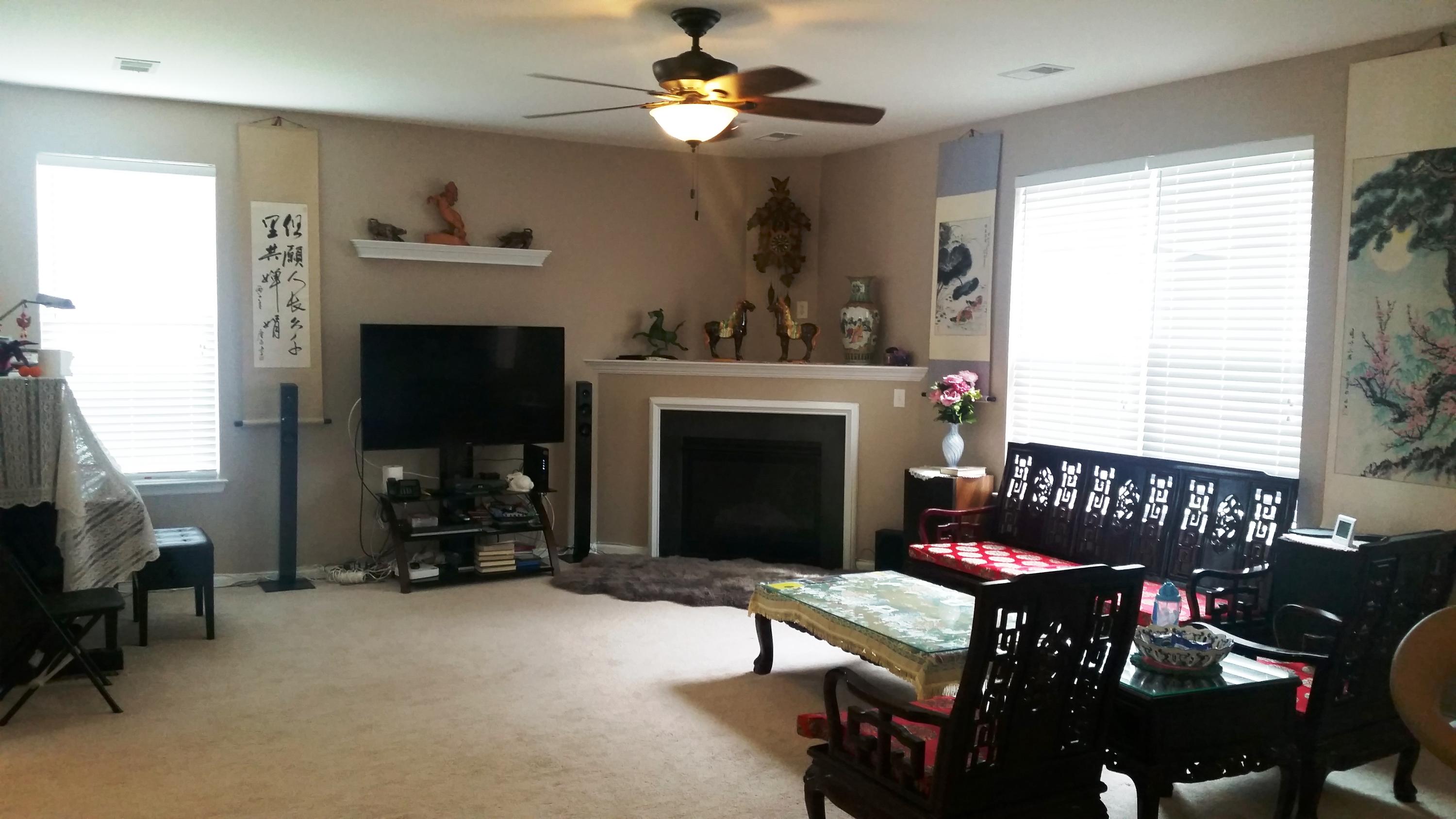 3641 Locklear Lane Mount Pleasant, SC 29466 - Photo 12 of 30 livingrm
