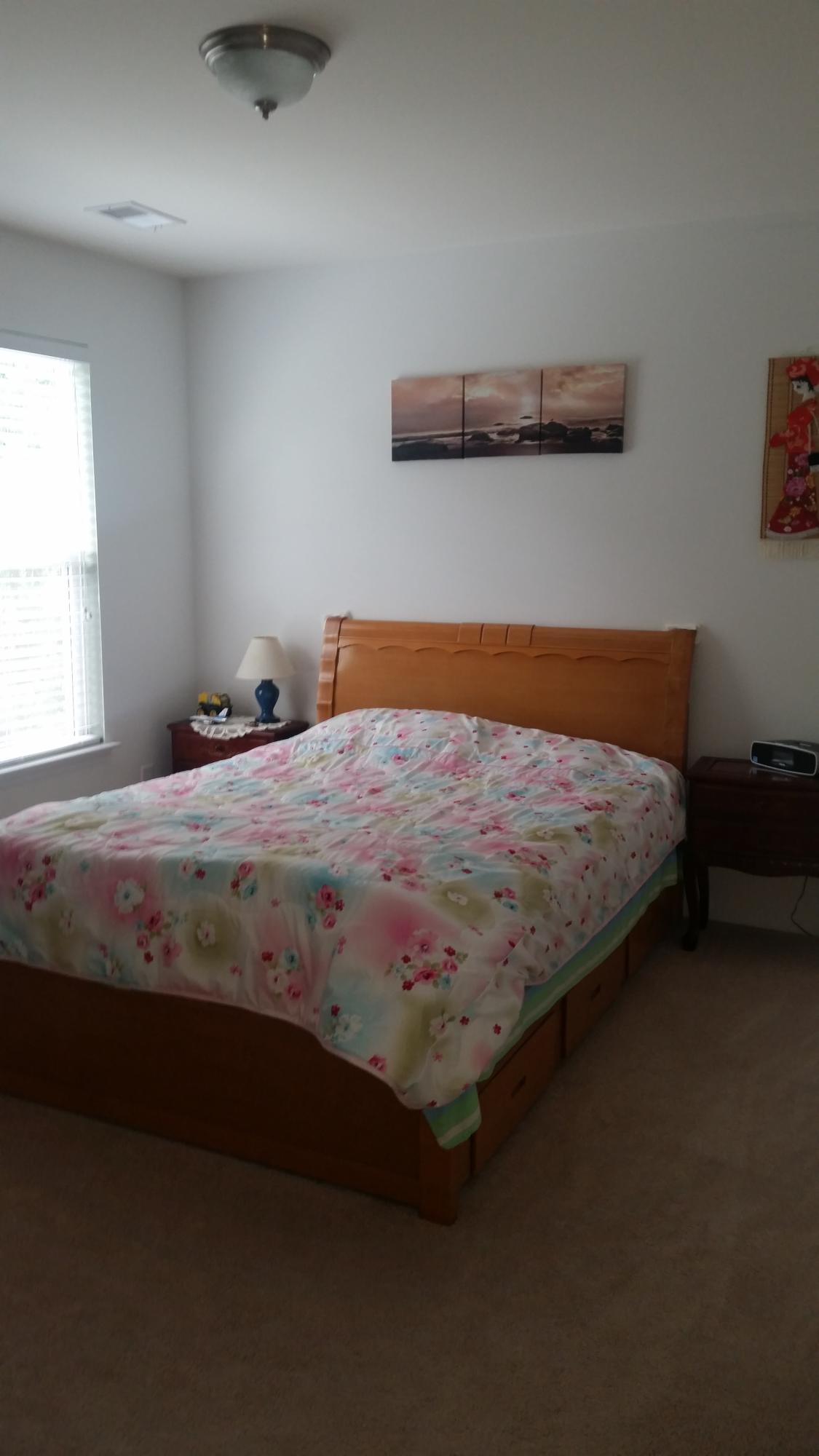 3641 Locklear Lane Mount Pleasant, SC 29466 - Photo 21 of 30 bedrm3