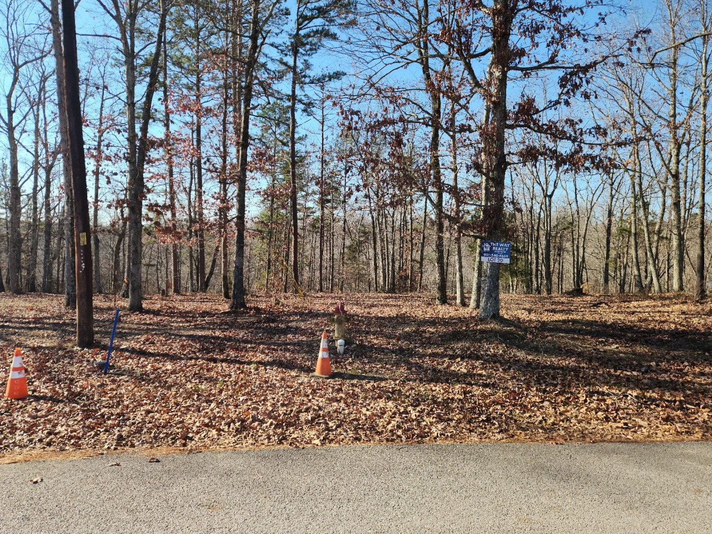 317 Briar Hollow Road Hohenwald, TN 38462 - Photo 3 of 3 a view of a house with a yard