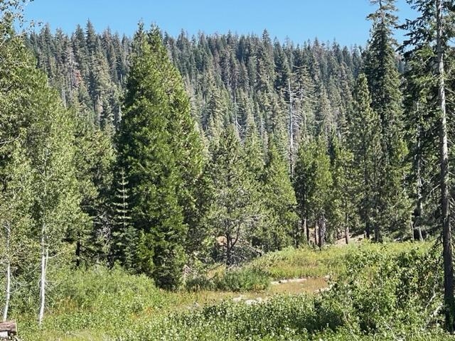 0 Big Creek Road Quincy, CA 95971 - Photo 9 of 19