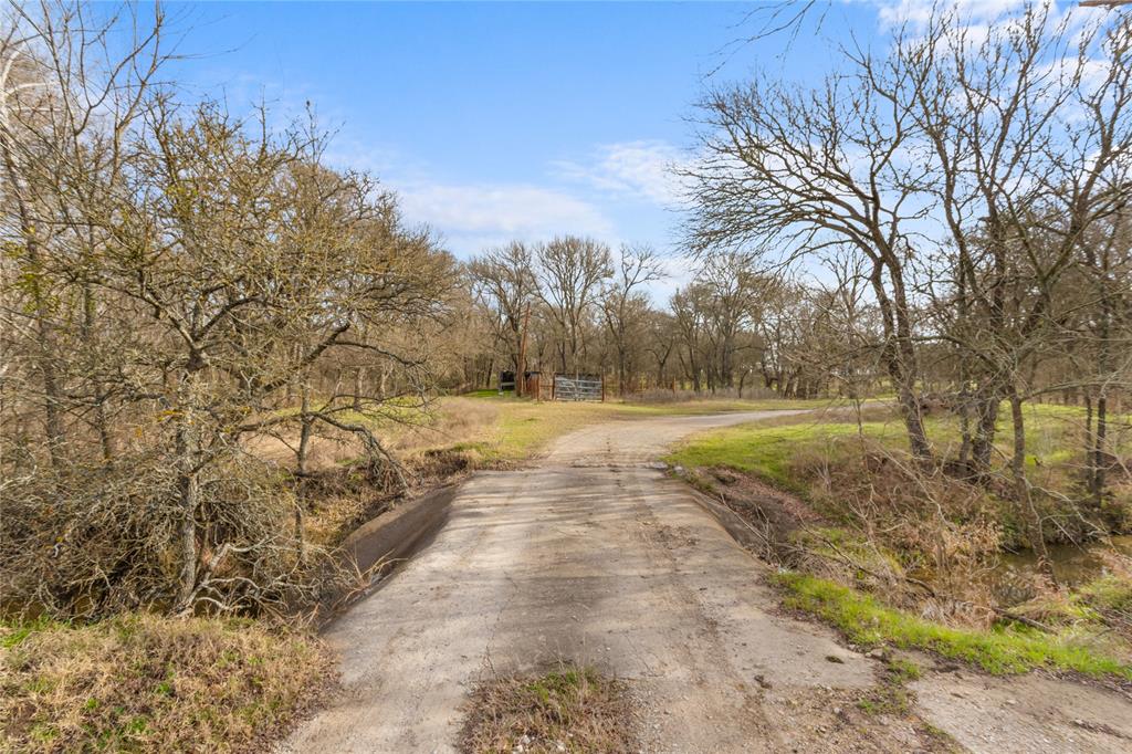 1447 Red Gate Road Mart, TX 76664 - Photo 9 of 38 a view of a yard with trees