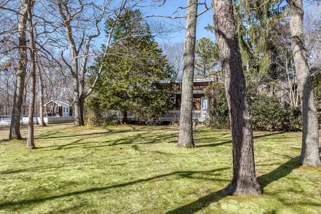 a view of a yard with large trees