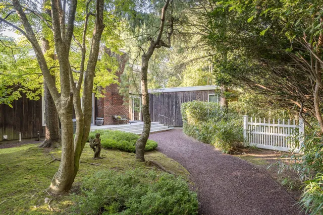 a view of a backyard