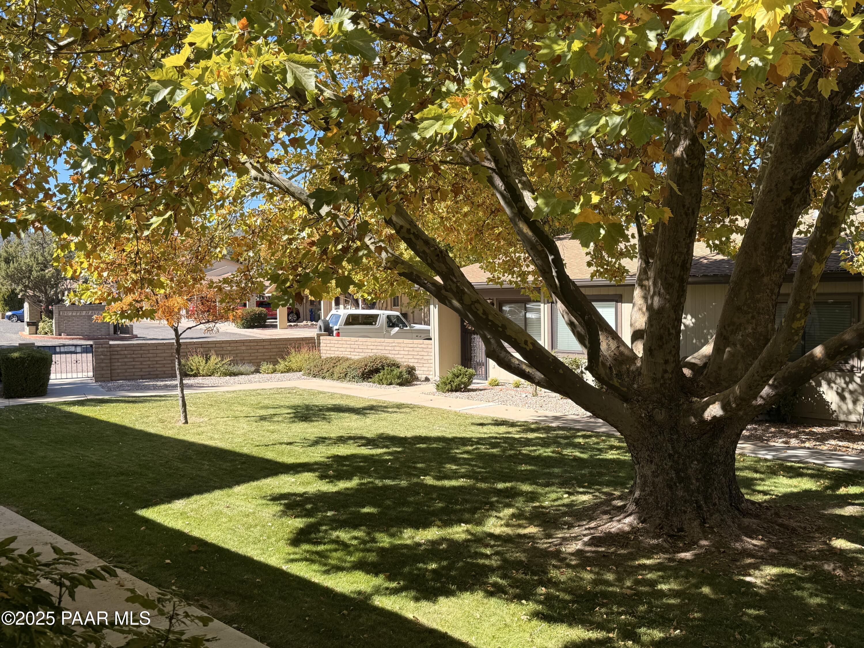 341 Country Club Circle Prescott, AZ 86303 - Photo 2 of 21 a view of yard with swimming pool and trees