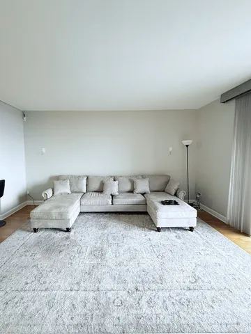 $264,900 | 1101 South State Street, Unit 1505, Chicago, IL 60605