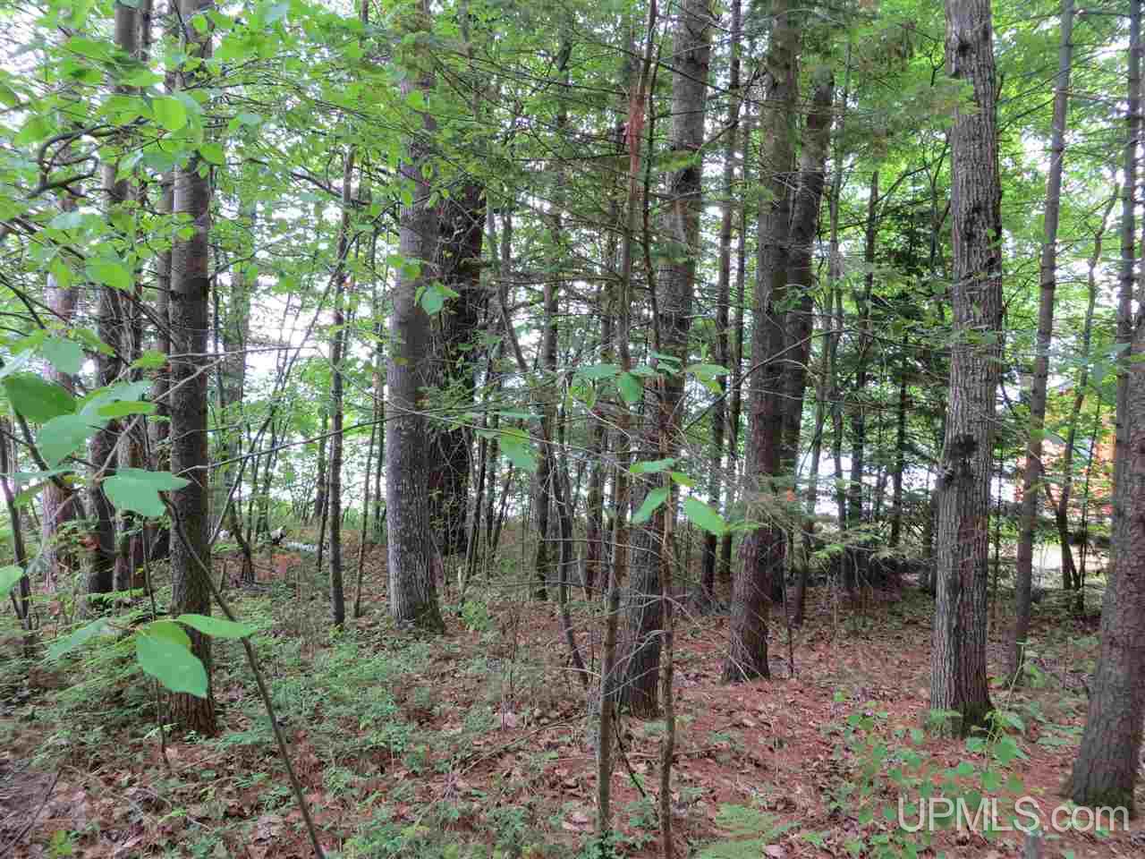 Tbd Ramsdam Road Manistique, MI 49854 - Photo 11 of 21 Gallery Image 11