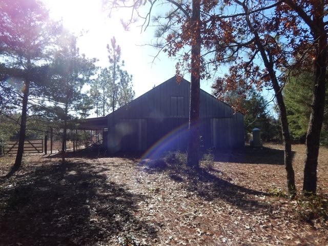 4232 Edge Perry Road Crestview, FL 32539 - Photo 8 of 45 a view of backyard with large trees