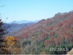 2260 Deep Gap Road Bryson City, NC 28713 - Photo 18 of 21