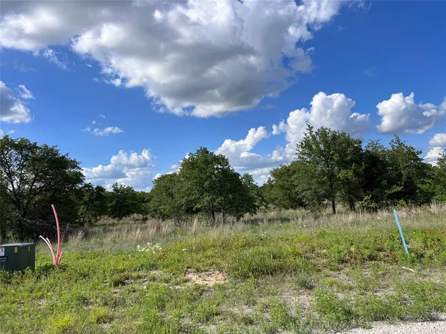 a view of a lake in middle of forest