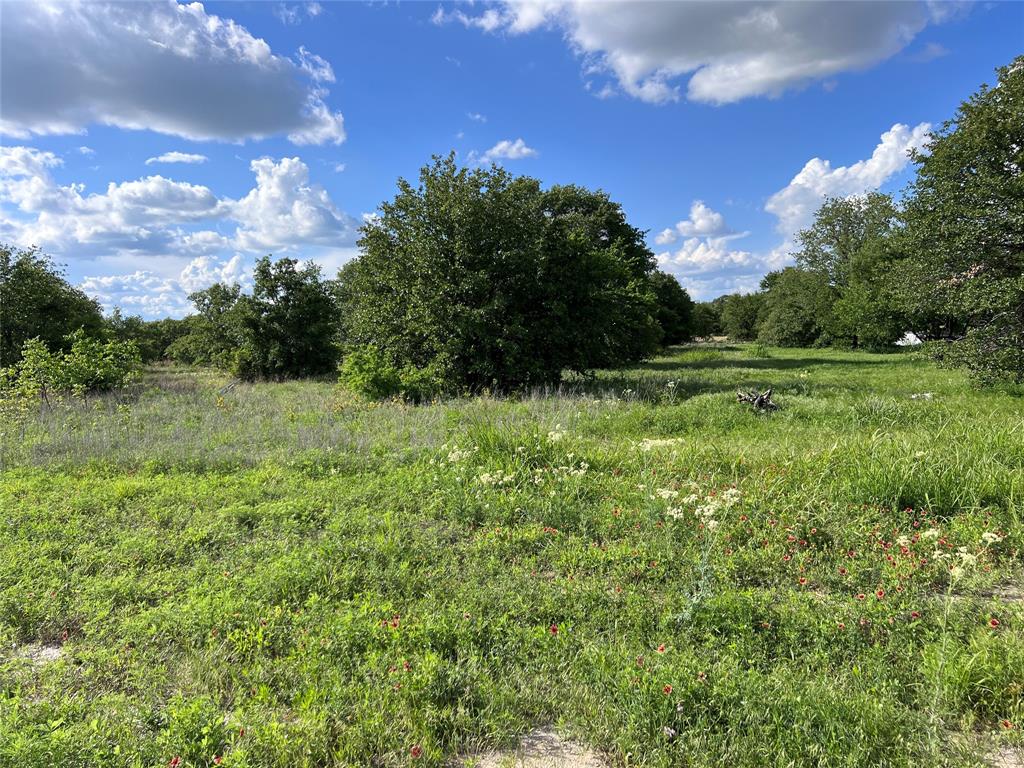 Tbd Lot 22 Tbd Trail Clyde, TX 79510 - Photo 7 of 12 a view of a green field with lots of bushes