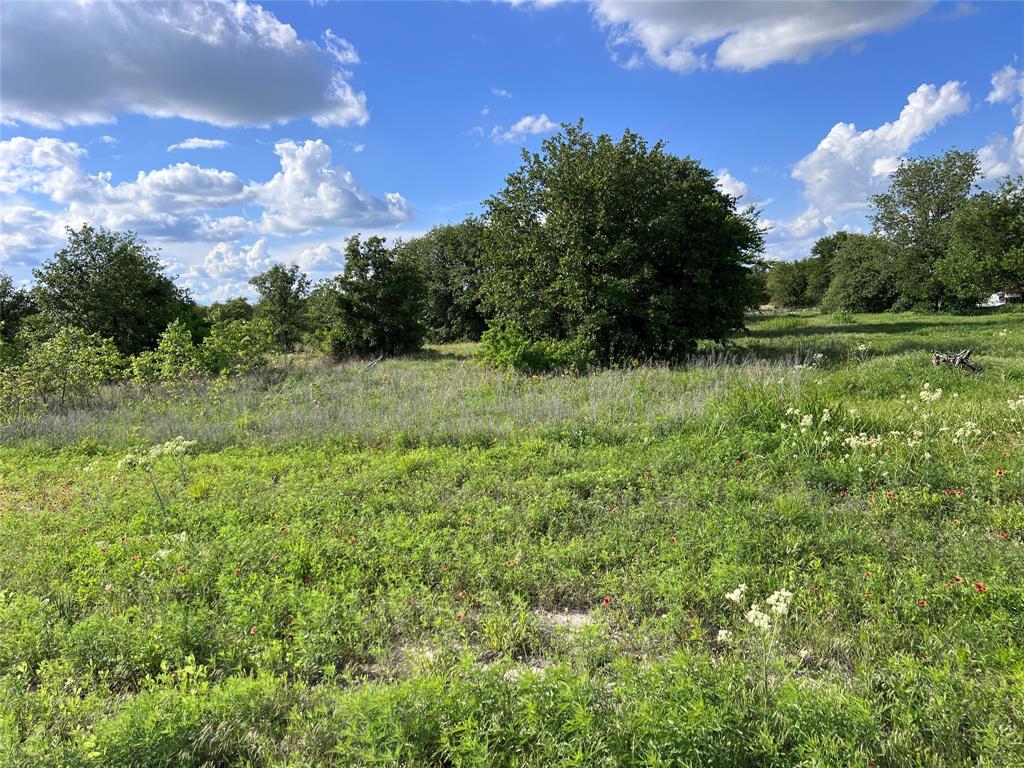 Tbd Lot 22 Tbd Trail Clyde, TX 79510 - Photo 8 of 12 a view of a lush green space