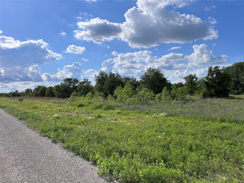 Tbd Lot 22 Tbd Trail Clyde, TX 79510 - Photo 10 of 12 a view of a bunch of trees