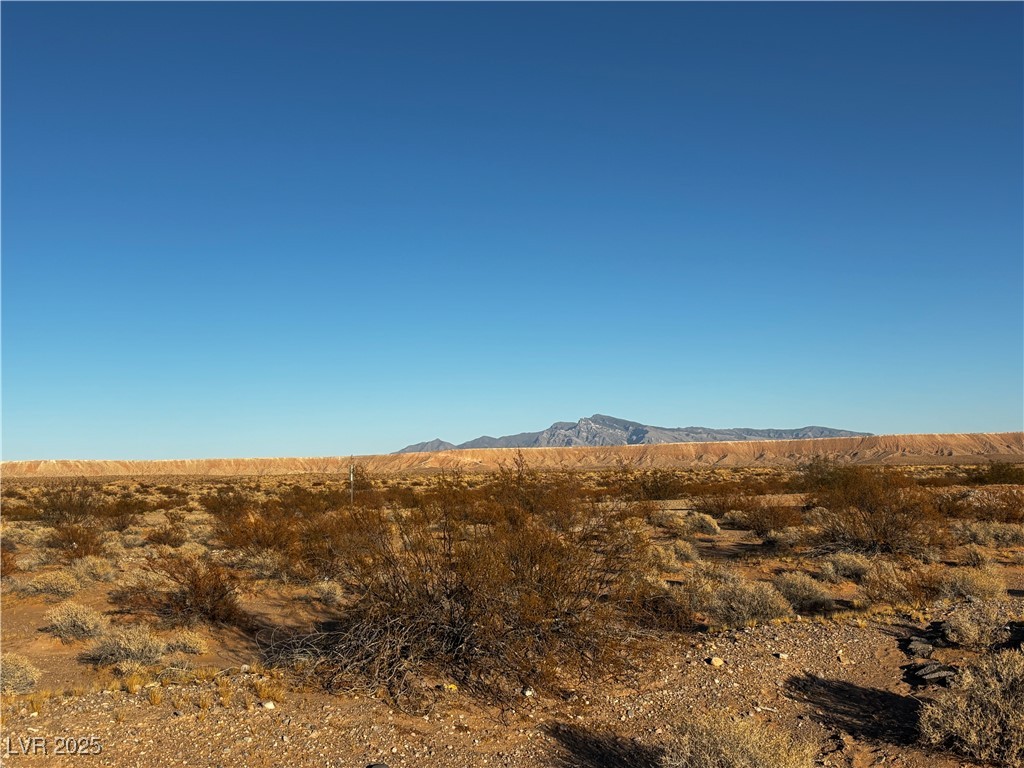 Lou Overton, NV 89040 - Photo 3 of 6 View from the property looking east towards Lou St. No neighbors!