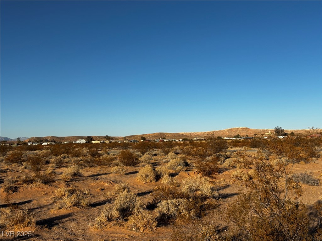 Lou Overton, NV 89040 - Photo 4 of 6 View looking northeast