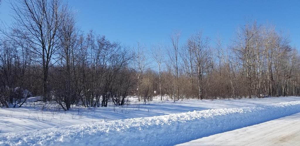 0 Merchia Road Churubusco, NY 12923 - Photo 13 of 15 Gallery Image 13