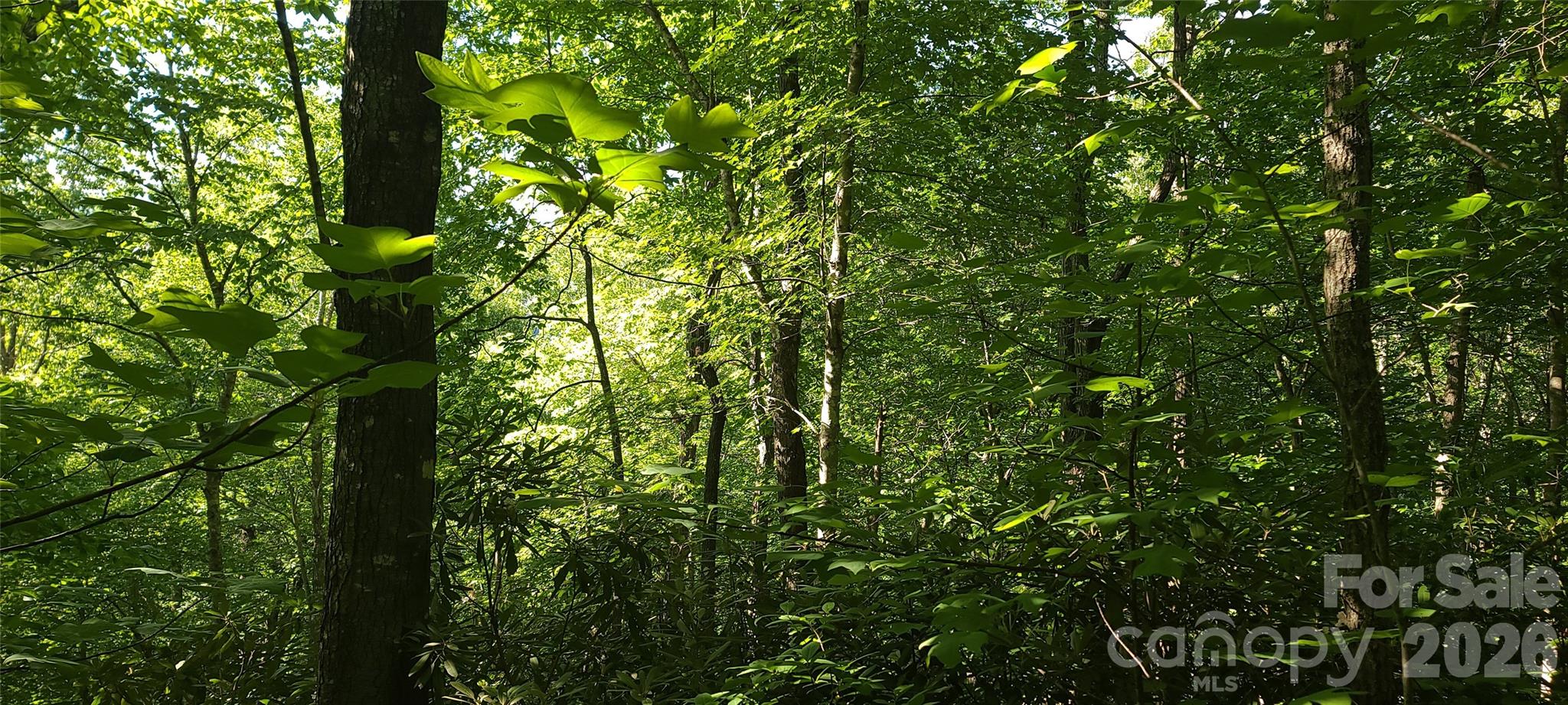 Lot#19 Mill Creek Road Old Fort, NC 28762 - Photo 5 of 13
