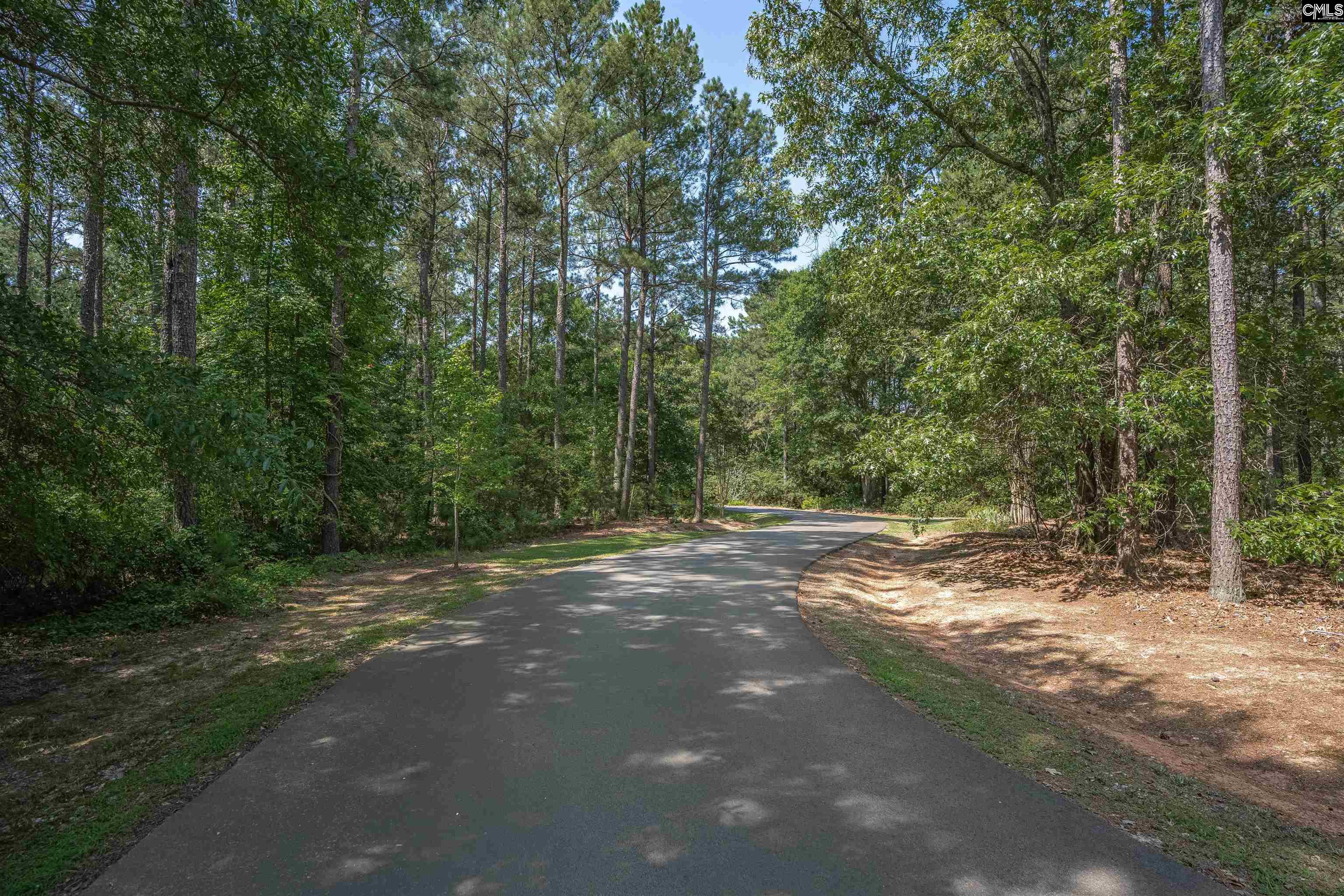 4610 Stoney Hill Road Newberry, SC 29108 - Photo 4 of 75