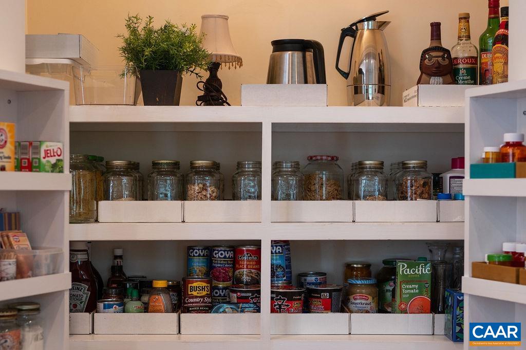 3515 Devon Pines Keswick, VA 22947 - Photo 31 of 68 Custom pantry