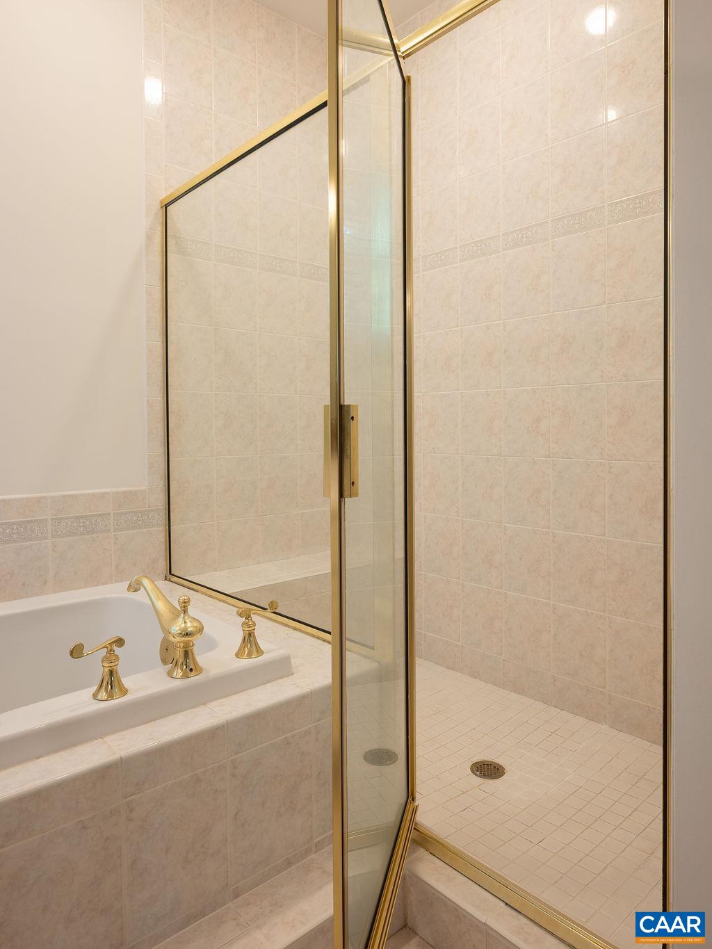 3515 Devon Pines Keswick, VA 22947 - Photo 40 of 68 a bathroom with a bathtub and a shower