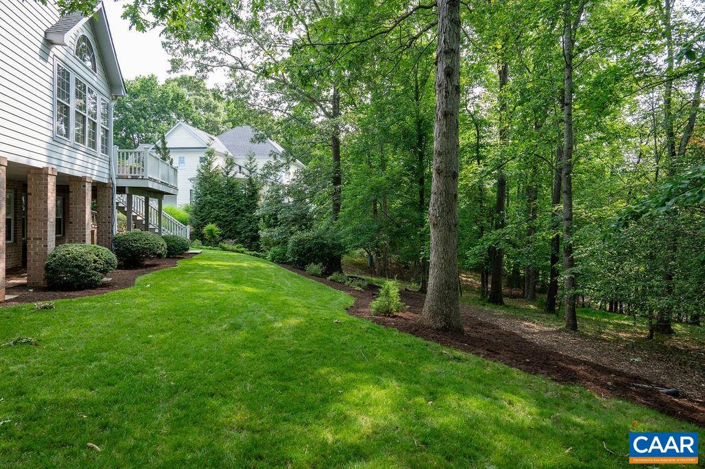3515 Devon Pines Keswick, VA 22947 - Photo 48 of 68 Lush level back yard