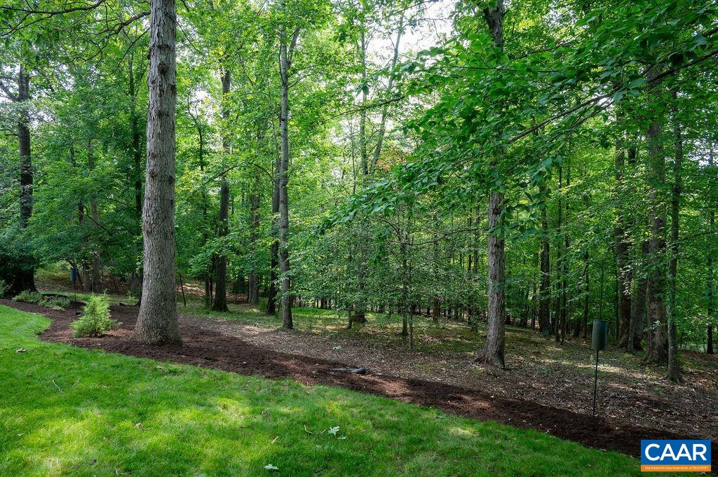 3515 Devon Pines Keswick, VA 22947 - Photo 55 of 68 a view of a forest with trees