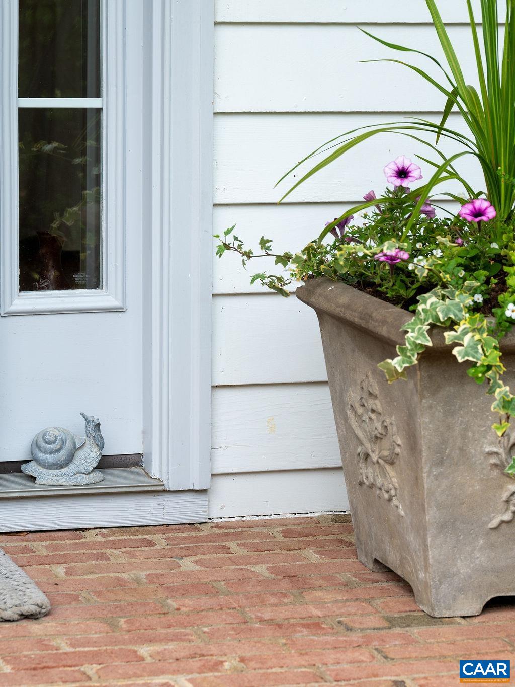 3515 Devon Pines Keswick, VA 22947 - Photo 6 of 68 a vase of flowers sitting on a table
