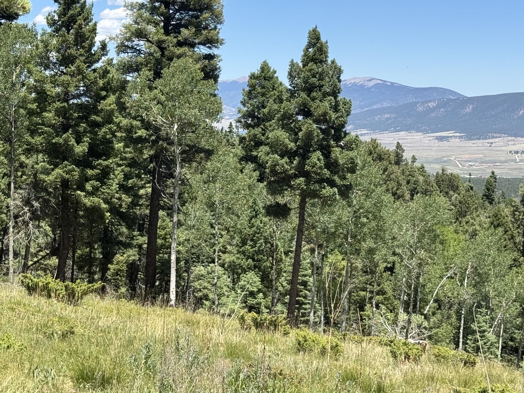 Lot 106 Zia Road Angel Fire, NM 87710 - Photo 1 of 23 Gallery Image 1