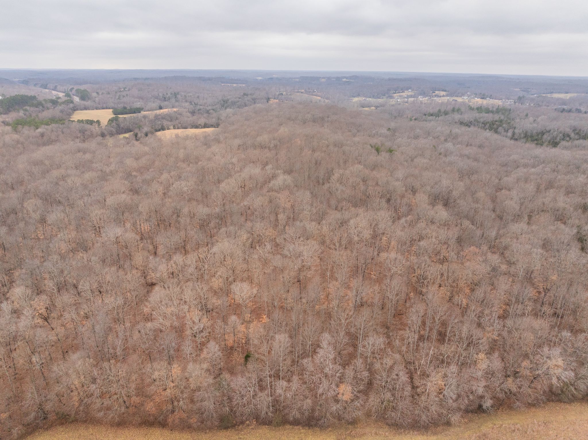 0 Wiley Branch Road Dickson, TN 37055 - Photo 19 of 27
