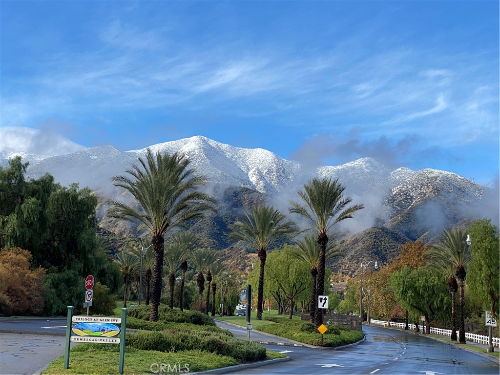 24594 Hatton Lane Corona, CA 92883 - Photo 2 of 57 a view of a yard with a palm tree