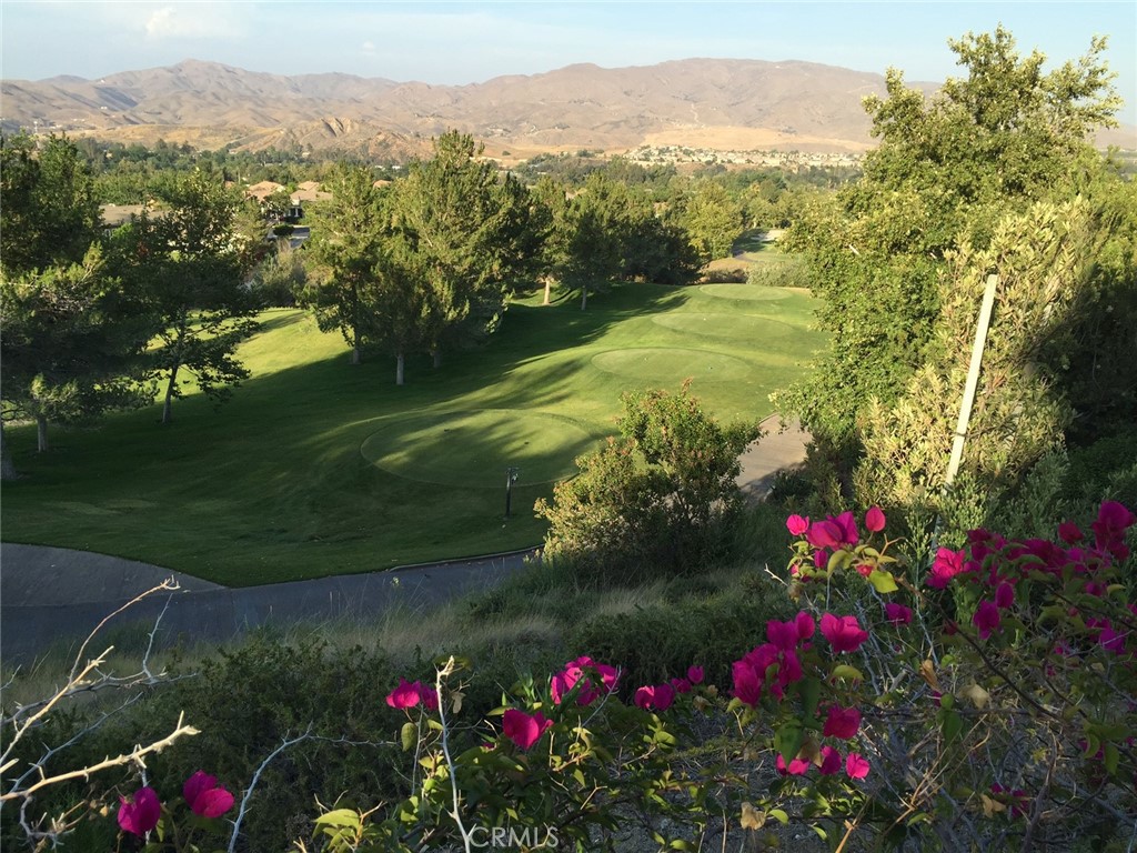 24594 Hatton Lane Corona, CA 92883 - Photo 46 of 57 a view of a flower in a big yard with potted plants