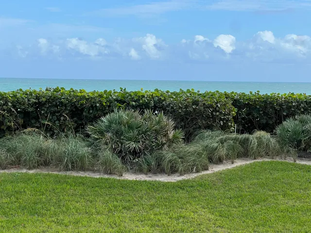a view of yard with ocean view