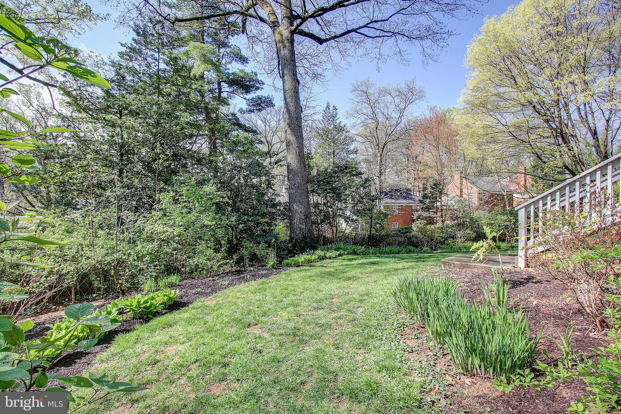 1441 Crestridge Drive Silver Spring, MD 20910 - Photo 45 of 50 Rear yard with stairs to 3 seasons porch