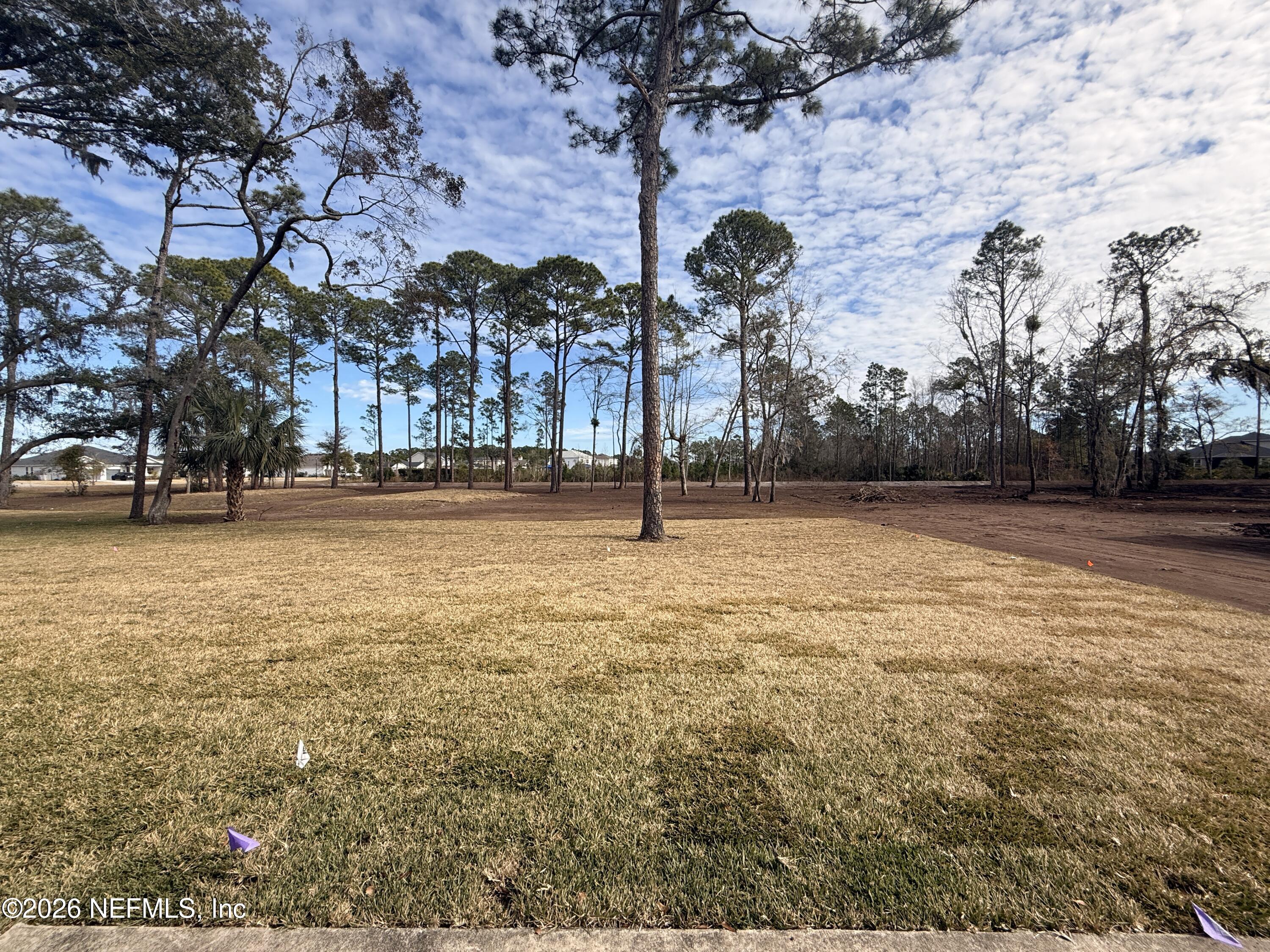 95110 Barnwell Road Fernandina Beach, FL 32034 - Photo 20 of 22 a view of outdoor space with garden