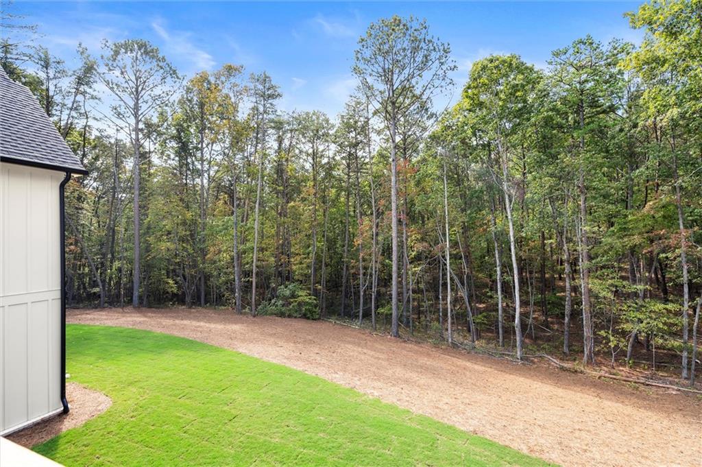 145 Highlands Chase Ball Ground, GA 30107 - Photo 60 of 79 a view of a backyard with potted plants and large trees